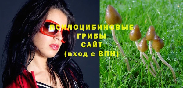 соль ск Алзамай