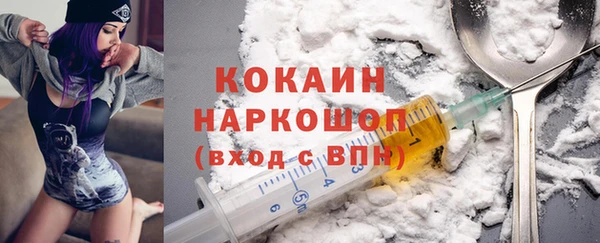 соль ск Алзамай