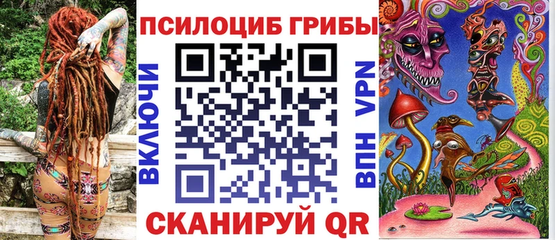 как найти Лесосибирск Галлюциногенные грибы Magic Shrooms
