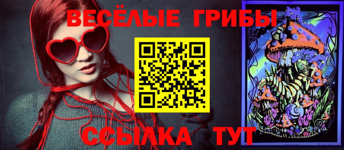Лесосибирск  Галлюциногенные грибы Cubensis  Вход с VPN 