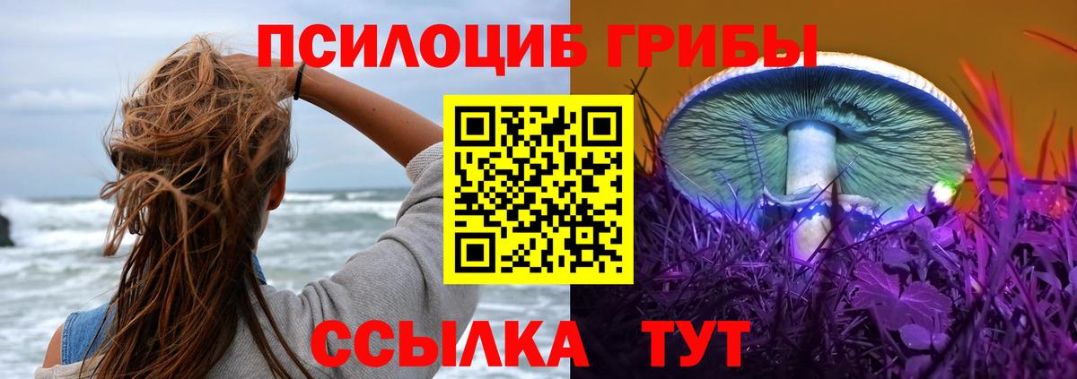 Псилоцибиновые грибы Magic Shrooms Лесосибирск